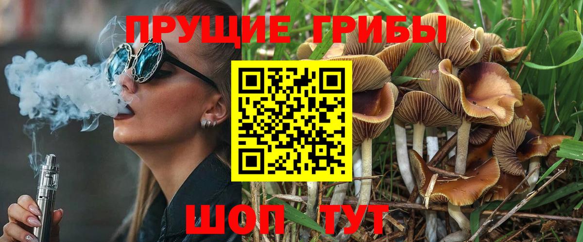 Галлюциногенные грибы Magic Shrooms  Галлюциногенные грибы прущие грибы  Вход с VPN  где продают   Будённовск 